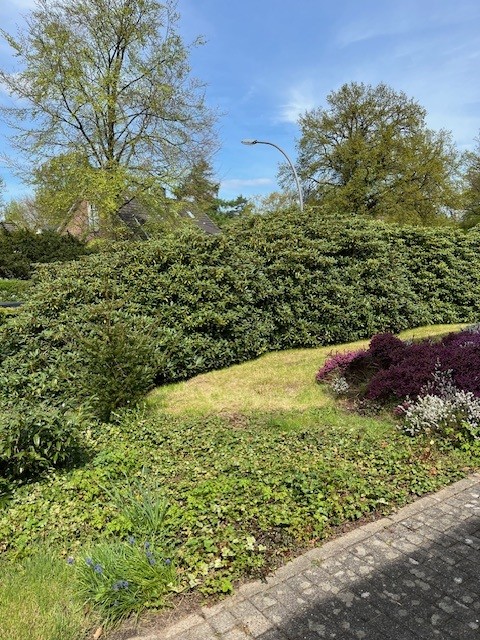 Ansicht 22