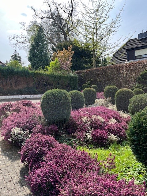 Ansicht 23 2